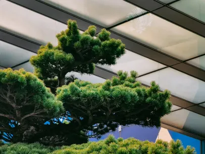 ArcaneBet Kaszinó Mobilalkalmazás